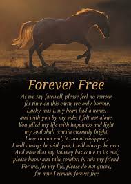 We run and play and never get fat. Spiritual Sympathy With Horse And Original Poem Metaphysical New Age Card Ad Spon Horse Origin Inspirational Horse Quotes Horse Memorial Equine Quotes