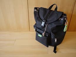 出し入れが不便とは限らない 11年使い続けているリュックの実力 片づけ収納ドットコム リュック バッグインバッグ バッグ収納