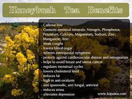 Endless Honeybush Tea Benefits Honeybush Tea Honeybush Tea Benefits