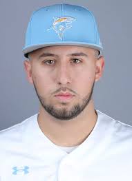 Long Island University Athletics