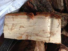 In most wooden diy projects, furniture restorations, or woodworking projects; Log Identification Firewood Forum Arbtalk The Social Network For Arborists
