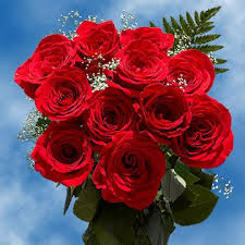 Access your balance, file a claim and more all from your phone or tablet with the flores mobile app. Amazon Com Globalrose 1 Dozena De Rozas Rojas Encantadoras Y Magnificas Flores Grocery Gourmet Food