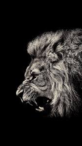 Black And White Dark Theme Lion Wallpaper 4k Lion Black Amoled Wallpaper 1080x1920 Need Iphone 6s Plus Wallpaper Background For Iphone6s Lion Wallpaper Dark Wallpaper Iphone Lion Wallpaper Iphone