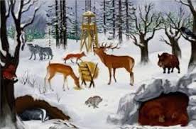 Zwierzęta zimą (5-9.12.22r.) - Katolickie Niepubliczne Przedszkole OGRÓDEK  ŚW. FRANCISZKA w Siedlcach