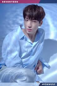 Beanie, wonu, bag of luck profesión… Wonwoo Asiamusic Wiki Fandom