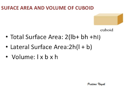 Tsa and csa of cube and cuboid. Surface Area And Volume Ssolids