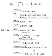 cbse class 12 chemistry notes haloalkanes and haloarenes