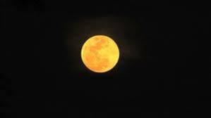 How Long Is A Moon Day Moon Yellow Moon Moon Meaning