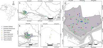 Free shipping for many products! Scorpion Species Distribution According To Geographic Distribution In Download Scientific Diagram