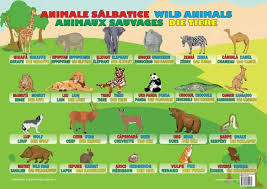 Animalele sunt fiinte vii, pluricelulare, care se pot deplasa si hrani, au simt de orientare si se reproduc de obicei prin imperecherea. Animale Salbatice 9786065744189