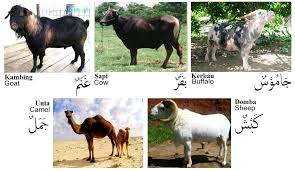 Pada uraian ini, disajikan kata dalam bahasa indonesia, tulisan arab, dan cara pengucapannya. Serinting Bahasa Arab Edisi Qurban Riyan S Blog