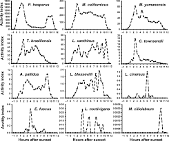 Using bat detectors to identify species. Sampling Period Size And Duration Influence Measures Of Bat Species Richness From Acoustic Surveys Skalak 2012 Methods In Ecology And Evolution Wiley Online Library