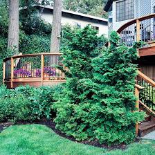 18 Deck Privacy Ideas For A Perfectly Secluded Outdoor Retreat Decks Backyard Backyard Backyard Deck