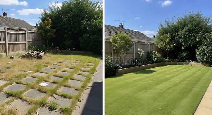 Antes Y Después De La Comparación De Un Jardín Descuidado Transformado En Un Césped Muy Bien Cuidado Y Un Espacio Exterior Ordenad Stock de ilustración - Ilustración de paisajismo, desarrollo: 396447295