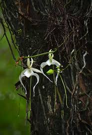 Maybe you would like to learn more about one of these? 4qrnycikahigm