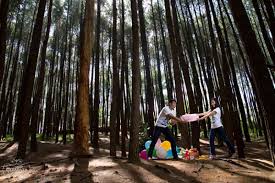 Di kawasan sekitar curug muara jaya ini tanahnya subur, banyak kebun sayuran dan kebun palawija. 10 Lokasi Yang Layak Jadi Pilihan Untuk Latar Foto Prewedding Mu Bersama Pasangan