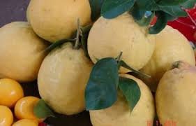 From cdn.kitap.kz «бабалар сөзі» сериясы бойынша жарық көрген кітаптан алынды. Ò›yz Zhibek Zhyry Qojalar Kz