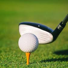 After finishing at 16 under and beating hideki matsuyama and sam burns in a two. Join Budock Vean Golf Club Near Falmouth Cornwall