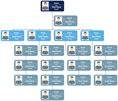 Corporate Org Chart Templates From Startups To Enterprises