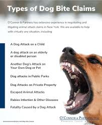 Because dogs usually inflict lacerations and crush wounds more often than puncture wounds, which are especially prone to infection, only about 20 percent of all dog bites result in infection. Dog Bite Lawyers In Kingston O Connor Partners Pllc