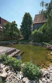 Image result for "Gelber Löwe" "heroldsberg"