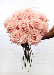 Maybe you would like to learn more about one of these? Silk By Design Durban Florist