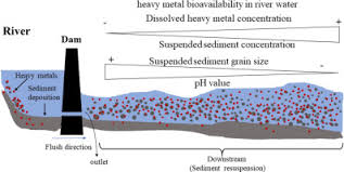 Check spelling or type a new query. Variations In Concentrations And Bioavailability Of Heavy Metals In Rivers Caused By Water Conservancy Projects Insights From Water Regulation Of The Xiaolangdi Reservoir In The Yellow River Sciencedirect