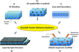 July 3, 2021 7:06 pm. Vascularization Strategies For Skin Tissue Engineering Biomaterials Science Rsc Publishing