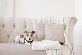 Los mejores precios de sillas de comedor de tela en amazon. Descubre Las Mejores Telas Para Tapizar Sofas Antimanchas Y Sillas