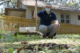 Yellow pages » fl » jacksonville » pest control. Rattlesnake Conservancy Finds New Home At Jacksonville S Tree Hill