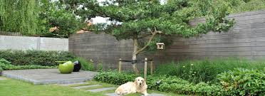 Zudem ist seine krone nicht breit und ausladend, sondern kugelig und daher prima für den kleinen garten geeignet. Besondere Baume Fur Kleine Garten Lesen Sie Unsere Tipps