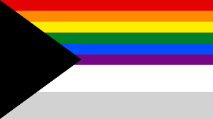 A demisexual is a person who does not experience sexual attraction unless they form a strong emotional connection with someone. Proposal Homoromantic Demisexual Flag What Do Y All Think Demisexuality