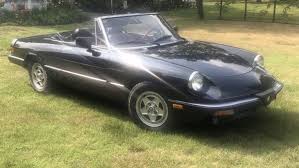 Image result for Grigio Juniper 1985 Alfa-Romeo