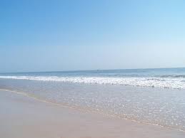 Wifi is free, and this hotel also features an outdoor pool and a restaurant. Daytona Beach Shoreline Picture Of Ocean Court Motel Daytona Beach Shores Tripadvisor