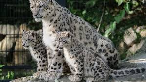 Check spelling or type a new query. Faschingsferien Baden Wurttemberg 2021 Stuttgart