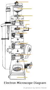 Magnification may be defined as the degree of enlargement of the image of an object provided by the microscope. A Study Of The Microscope And Its Functions With A Labeled Diagram Science Struck