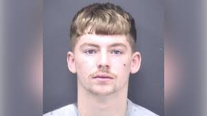 Cameron Hamilton death: Teen given nine years in custody for stabbing