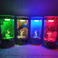 Menjual akuarium unik untuk cupang, guppy dan ikan2 mini lainya Harga Aquarium Kecil Terbaik Hobi Koleksi Agustus 2021 Shopee Indonesia