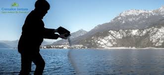 The cost also depends on the area you choose for the cat cremation. 12 Things You Need To Know About The Cat Cremation Process