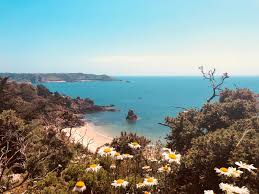 Ontdek de perfecte stockfoto's over jersey insel en redactionele nieuwsbeelden van getty images kies uit 72 blader door de 72 jersey insel beschikbare stockfoto's en beelden, of begin een nieuwe. 12 Grunde Die Fur Eine Reise Nach Jersey Travelistas Info Die Reise Insider