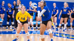 Volleyball Returns to Action at the Bettye Wallace Invite