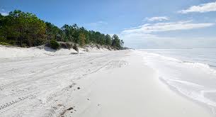 We did not find results for: Amelia Island Archives Artisan Homes Jacksonville Home Builders