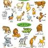 Start studying nama haiwan dalam bahasa arab. 1
