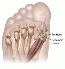 Pin On Ankle And Foot