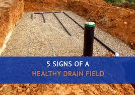 Check spelling or type a new query. 5 Signs Of A Healthy Drain Field Advanced Septic Services