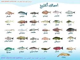Pin By Aqeel Al On Food Mojo Types Of Fish Fish Pics