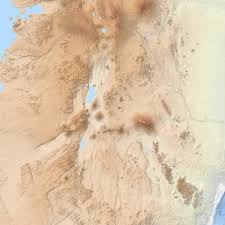 Image result for Asterochaete