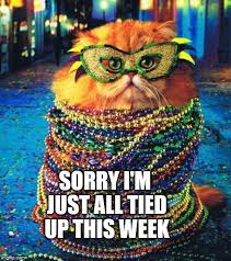 This is for a png file only. Mardi Gras Cat2 Memes Imgflip