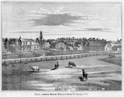 The Deem Family Line