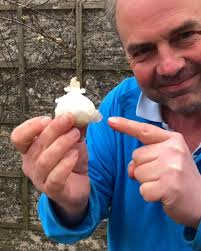 Dragged her big sissie in for...